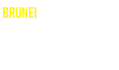 Upskill Brunei